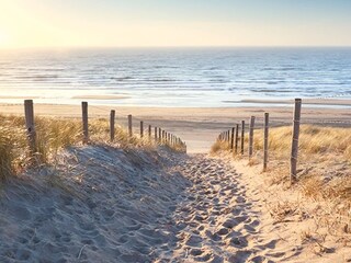 Casa per le vacanze Ouddorp Ambiente 33