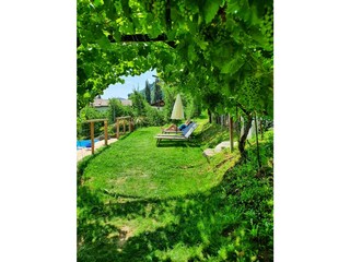 Appartamento per vacanze Lana Registrazione all'aperto 15