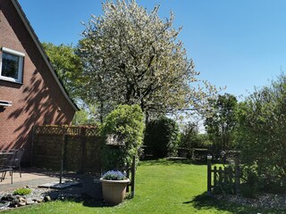 Garten hinter dem Haus