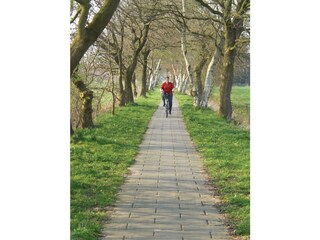 Fahrradtouren entlang des Ostfriesland-Wanderweges