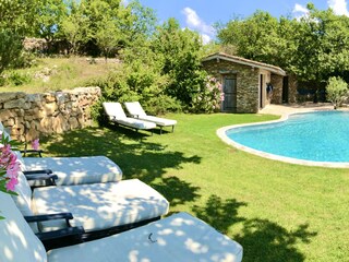 Sun Loungers and pool