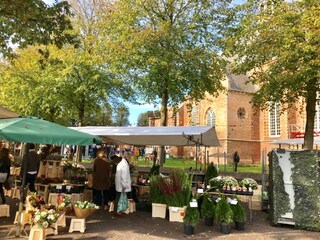 Appartement de vacances Bergen aan Zee Enregistrement extérieur 9