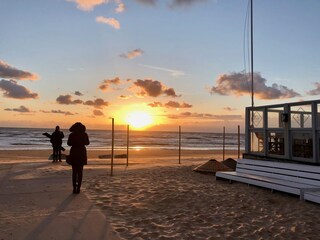 Apartamento de vacaciones Bergen aan Zee Grabación al aire libre 11