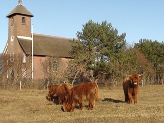 Holiday apartment Bergen aan Zee Outdoor Recording 12