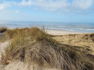 Appartement de vacances Bergen aan Zee Environnement 26