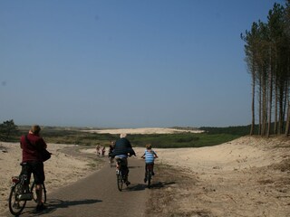 Appartamento per vacanze Bergen aan Zee Ambiente 30