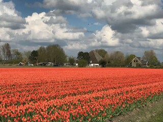 Apartamento de vacaciones Bergen aan Zee Grabación al aire libre 14