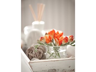 Ferienwohnung Haffkrug Ausstattung 15