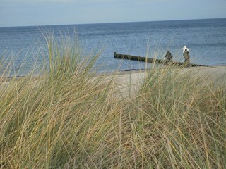 Appartamento per vacanze Kühlungsborn-Ost Ambiente 20