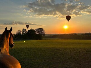 Fattoria Ouffet Ambiente 36