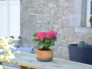 Type de propriété : Ferme Ouffet  39
