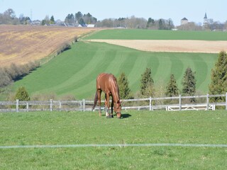 Fattoria Ouffet Ambiente 35