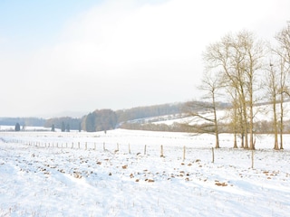 Bauernhof Ouffet Außenaufnahme 7