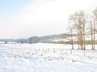 Boerderij Ouffet Buitenaudio-opname 6