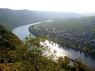 Die Mosel zur herbstlichen Zeit