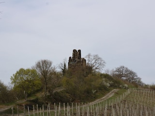 Wanderung zur Klosterruine Wolf