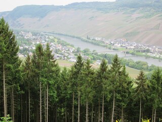 Blick auf Kinheim-Kindel