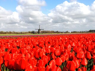 Appartamento per vacanze Bergen (Holland) Ambiente 25