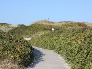 Ihr Weg zum Strand