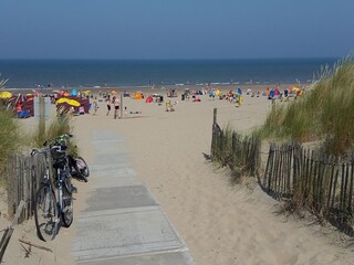 Vakantiehuis Noordwijk Omgeving 25