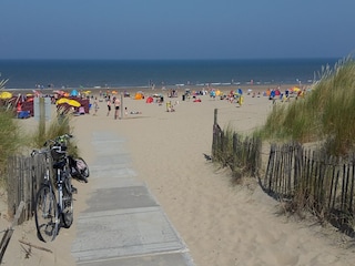 Vakantiehuis Noordwijk Omgeving 31