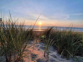 Vakantiehuis Noordwijk Omgeving 26