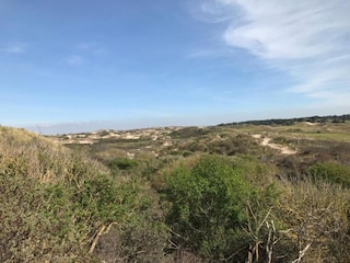 Casa per le vacanze Noordwijk Ambiente 31