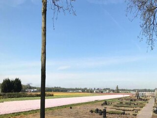 Vakantiehuis Noordwijk Omgeving 24