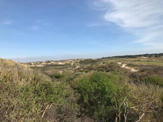 Vakantiehuis Noordwijk Omgeving 30