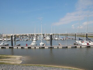 Villa Zuidzande Environment 33