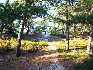 Vakantiehuis Kopalino Omgeving 38