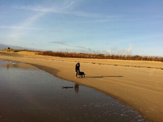 Appartamento per vacanze Westkapelle Registrazione all'aperto 5