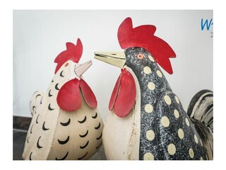 Ferienwohnung Borkum  12