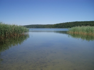 Am Warther See (6 km entfernt)