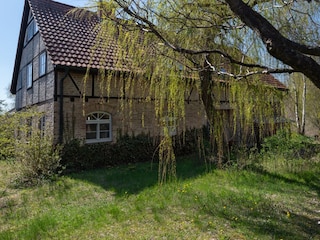 Ferienhaus Templin Außenaufnahme 13