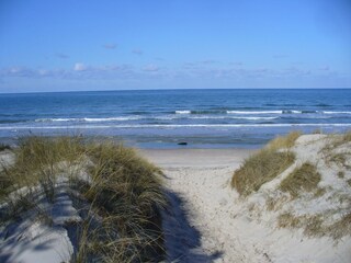 Ostseestrand von Rügen