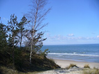 Ostseestrand von Rügen