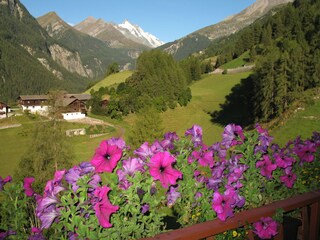 Appartamento per vacanze Heiligenblut Caratteristiche 28