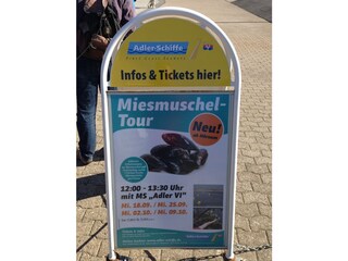 Die Adlerschiffe bieten viele interessante Touren an.