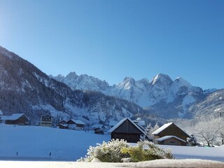 Casa per le vacanze Gosau Ambiente 28