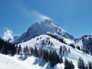 Casa per le vacanze Gosau Ambiente 30