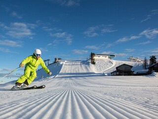 Casa per le vacanze Gosau Ambiente 32