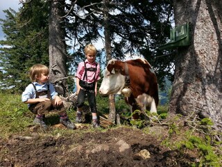 Casa per le vacanze Gosau Ambiente 37