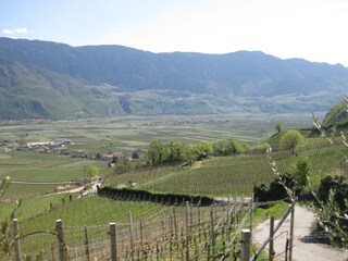 Appartamento per vacanze Kurtinig an der Weinstraße Ambiente 17