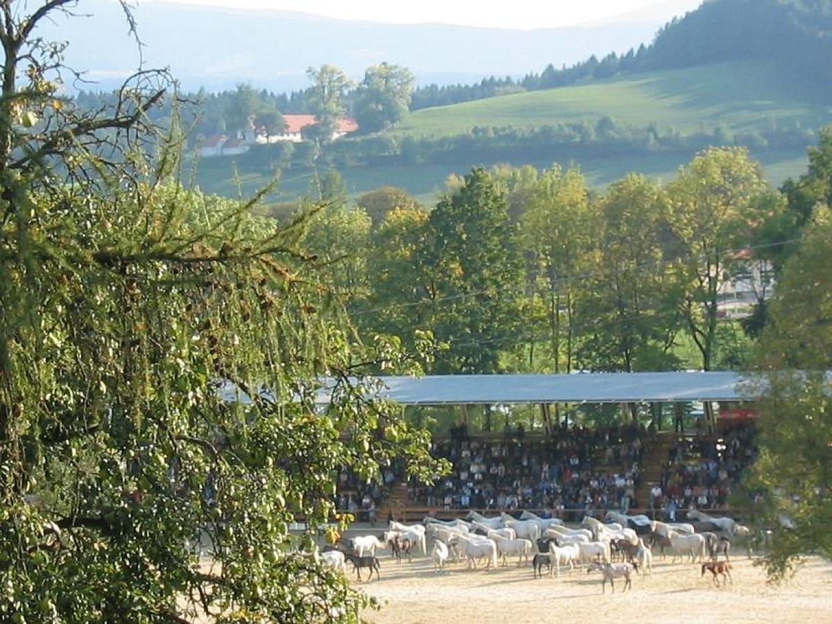 Pferdearena Piber