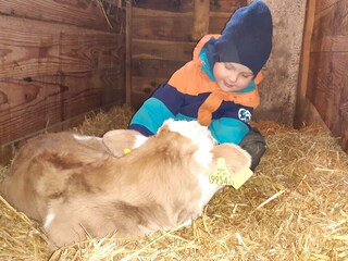 Appartamento per vacanze Saalfelden Ambiente 22