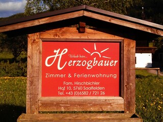 Appartamento per vacanze Saalfelden Registrazione all'aperto 5