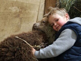 Appartamento per vacanze Saalfelden Ambiente 21