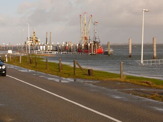 Fähre nach Baltrum