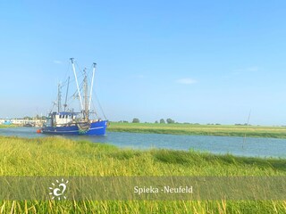 Ferienwohnung Dorum-Neufeld Außenaufnahme 18